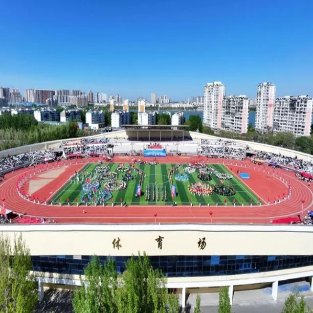 足球杯赛焦点对决：阵容深度解读第278组
